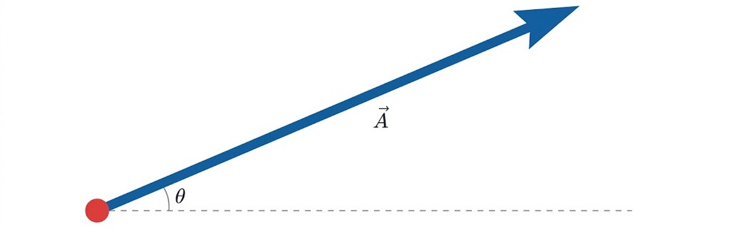 Vector Representation